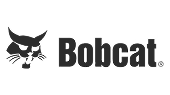 Bobcat